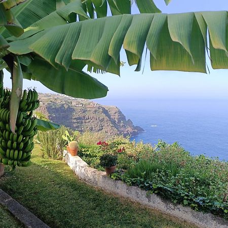 Sunset La Palmita Apartment La Victoria de Acentejo Екстериор снимка