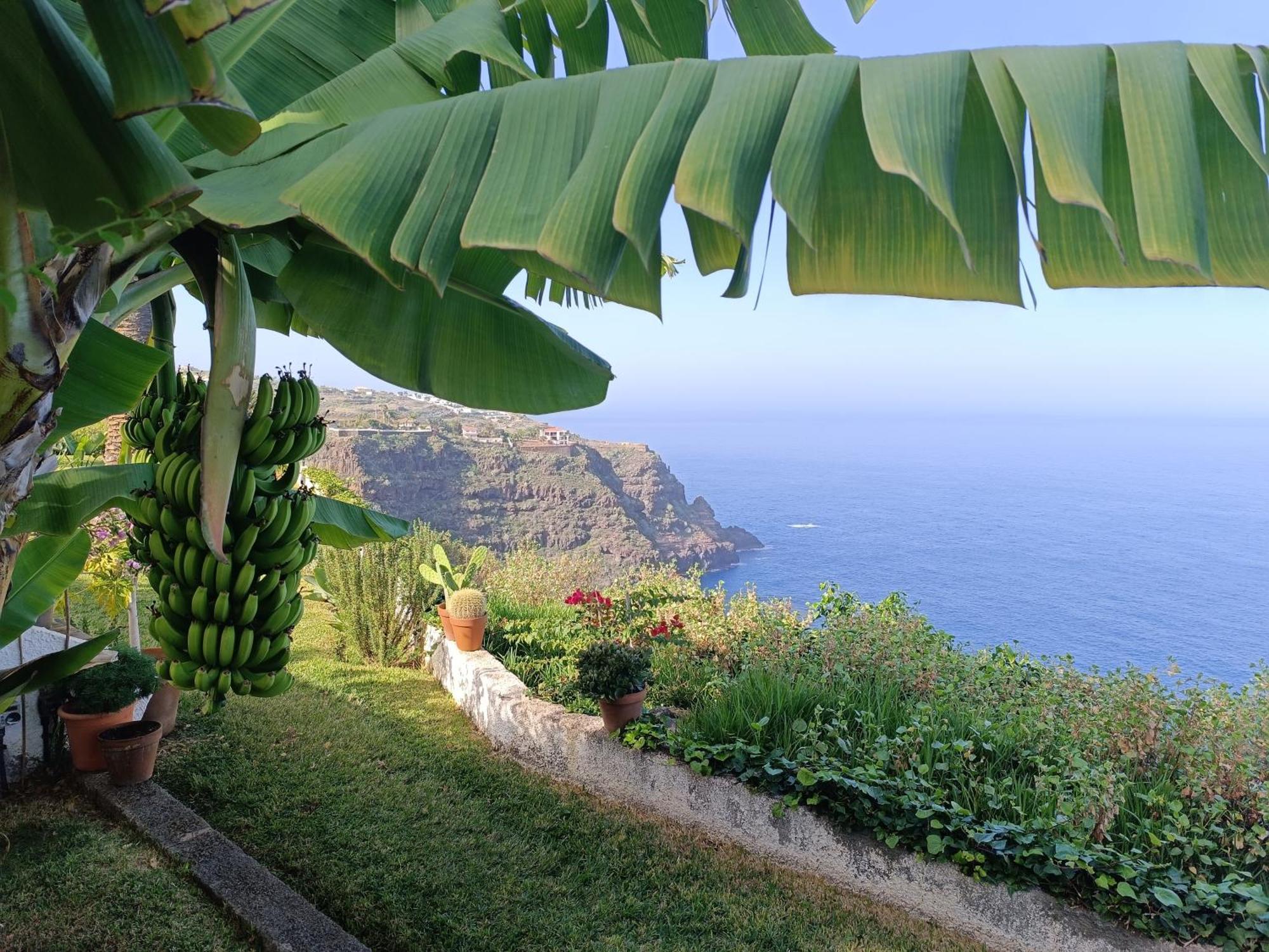 Sunset La Palmita Apartment La Victoria de Acentejo Екстериор снимка